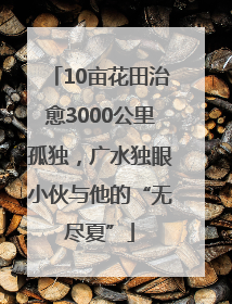 10亩花田治愈3000公里孤独，广水独眼小伙与他的“无尽夏”