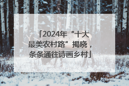 2024年“十大最美农村路”揭晓，条条通往诗画乡村