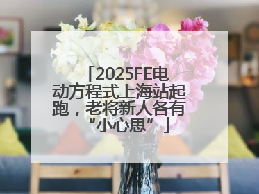 2025FE电动方程式上海站起跑，老将新人各有“小心思”