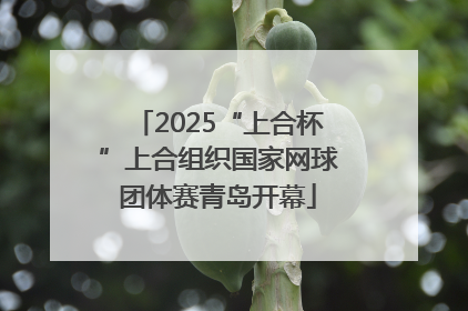 2025“上合杯”上合组织国家网球团体赛青岛开幕