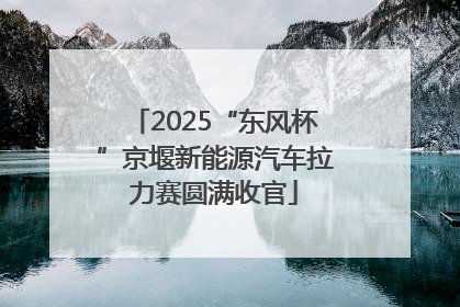 2025“东风杯”京堰新能源汽车拉力赛圆满收官
