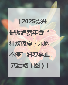 2025德兴提振消费年暨“狂欢盛夏・乐购不停”消费季正式启动（图）