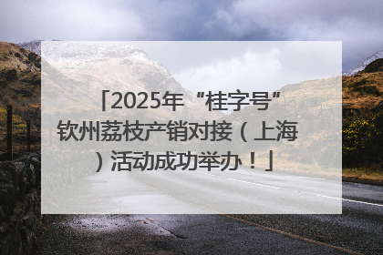 2025年“桂字号”钦州荔枝产销对接（上海）活动成功举办！