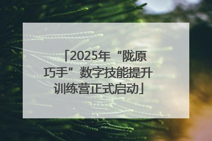 2025年“陇原巧手”数字技能提升训练营正式启动