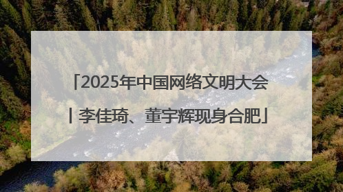2025年中国网络文明大会丨李佳琦、董宇辉现身合肥