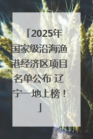 2025年国家级沿海渔港经济区项目名单公布 辽宁一地上榜！