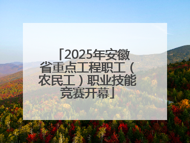 2025年安徽省重点工程职工（农民工）职业技能竞赛开幕