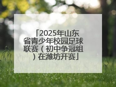 2025年山东省青少年校园足球联赛（初中争冠组）在潍坊开赛