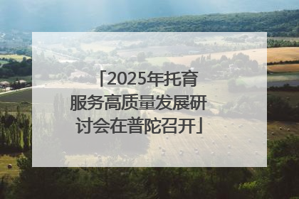 2025年托育服务高质量发展研讨会在普陀召开