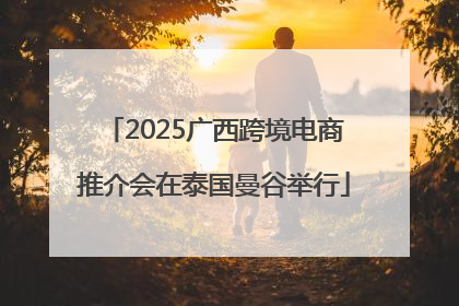 2025广西跨境电商推介会在泰国曼谷举行