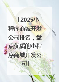 2025小程序商城开发公司排名，盘点优质的小程序商城开发公司