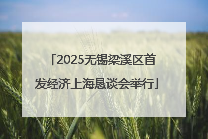 2025无锡梁溪区首发经济上海恳谈会举行