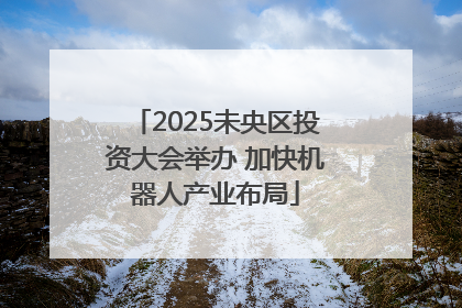 2025未央区投资大会举办 加快机器人产业布局