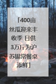 400亩丝瓜迎来丰收季 日供3万斤为沪苏锡常餐桌添鲜