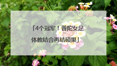 4个冠军！普陀女足体教结合再结硕果