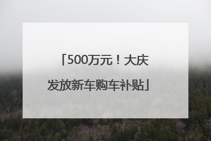 500万元！大庆发放新车购车补贴