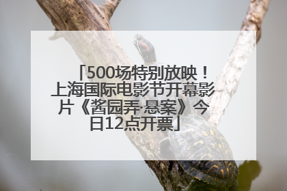 500场特别放映！上海国际电影节开幕影片《酱园弄·悬案》今日12点开票