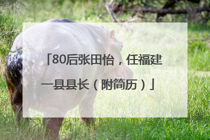 80后张田怡，任福建一县县长（附简历）