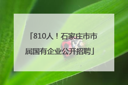 810人！石家庄市市属国有企业公开招聘