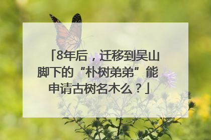 8年后，迁移到吴山脚下的“朴树弟弟”能申请古树名木么？