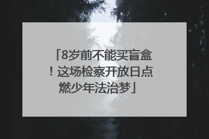 8岁前不能买盲盒！这场检察开放日点燃少年法治梦