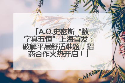 A.O.史密斯“数字真五恒”上海首发：破解平层舒适难题，招商合作火热开启！