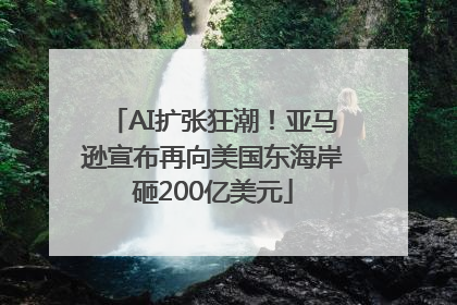 AI扩张狂潮！亚马逊宣布再向美国东海岸砸200亿美元