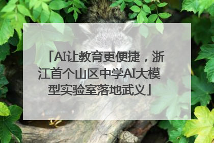 AI让教育更便捷，浙江首个山区中学AI大模型实验室落地武义