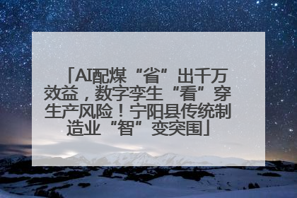 AI配煤“省”出千万效益，数字孪生“看”穿生产风险！宁阳县传统制造业“智”变突围