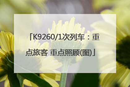 K9260/1次列车：重点旅客 重点照顾(图)