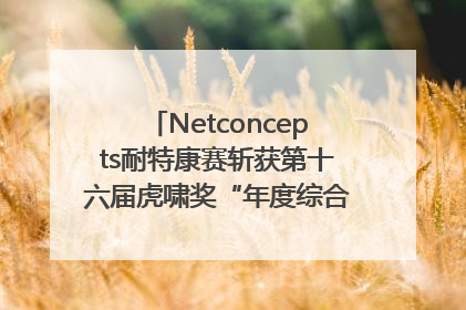 Netconcepts耐特康赛斩获第十六届虎啸奖“年度综合服务商”大奖