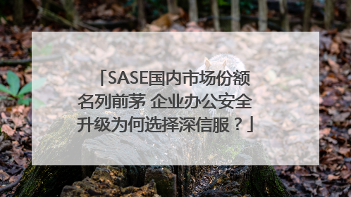 SASE国内市场份额名列前茅 企业办公安全升级为何选择深信服？