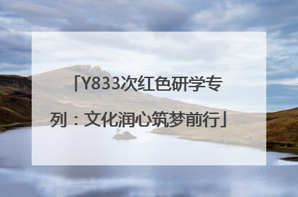 Y833次红色研学专列：文化润心筑梦前行